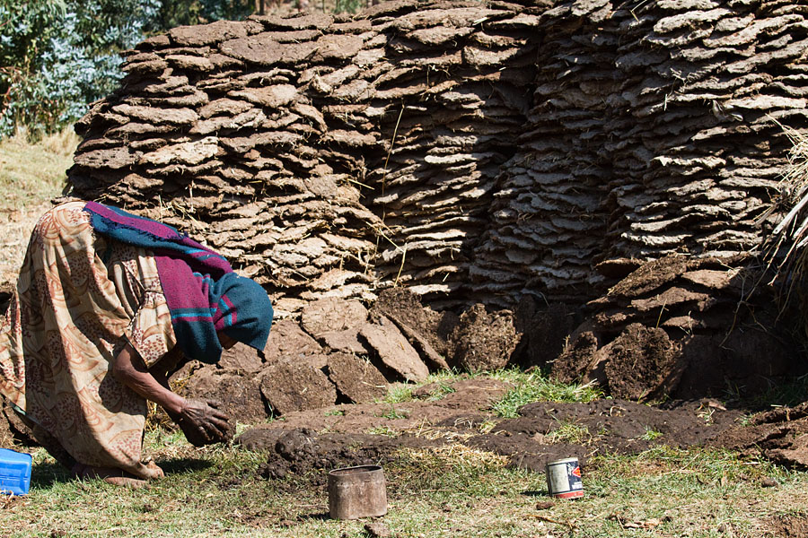 55   Mixing the cow exrements with straw, which is used as fuel, after drying. Ethiopia 